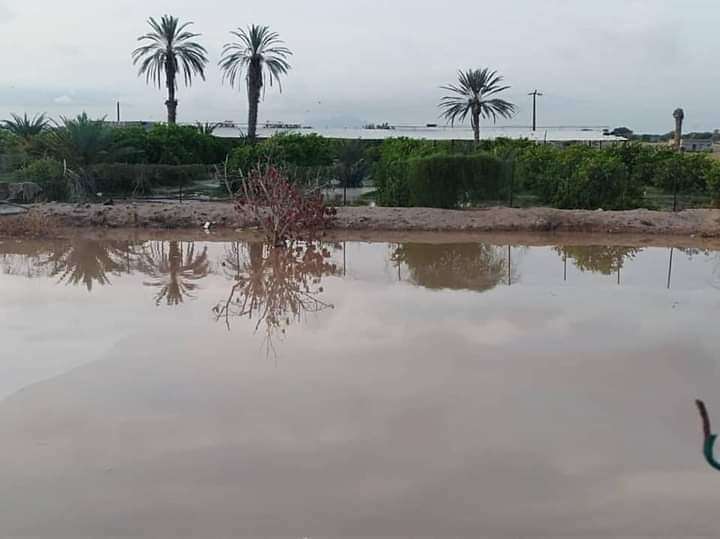 هكذا تبدو الوهط جراء سيول جارفة(صورة) هكذا تبدو الوهط جراء سيول جارفة(صورة)