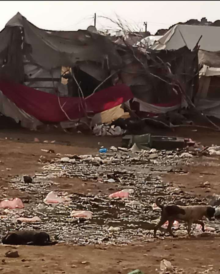 خيمة و علم و مستنقع مياه .. صورة من المخا تثير غضبا واسع