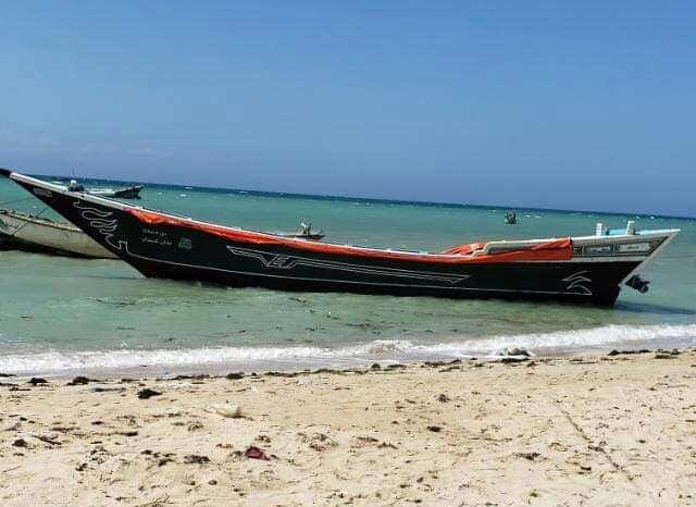 قوات خفر السواحل في المخا تفرج عن عدد من قوارب الصيد