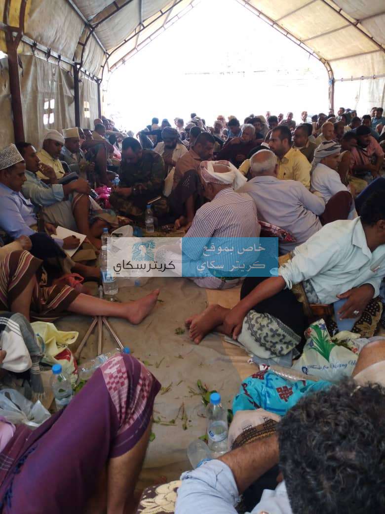 نصف مليون غرامة لمن يطلق النار بالاعراس في الشمايتين بتعز