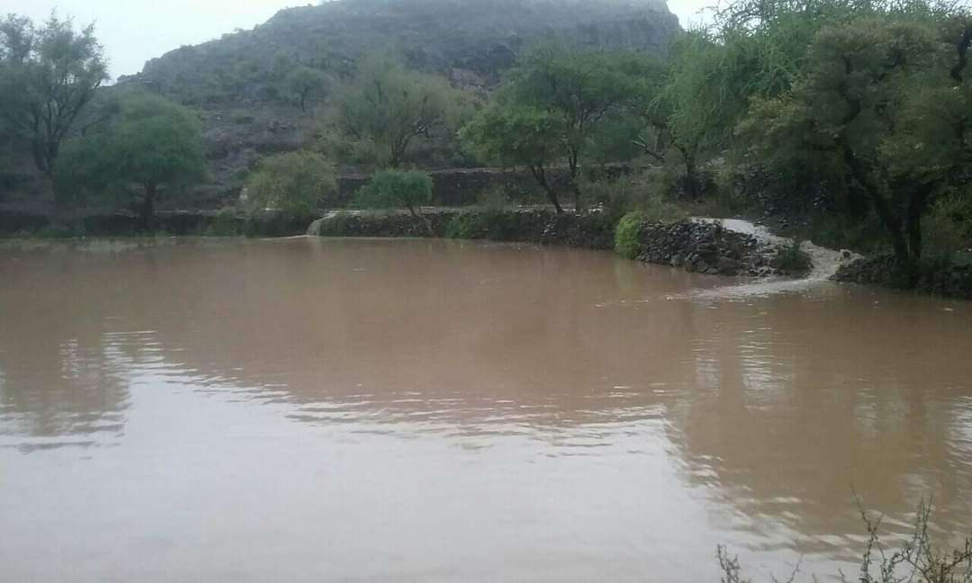 وفاة 7 أشخاص غرقاً بسيول جارفة شرق اليمن وفاة 7 أشخاص غرقاً بسيول جارفة شرق اليمن
