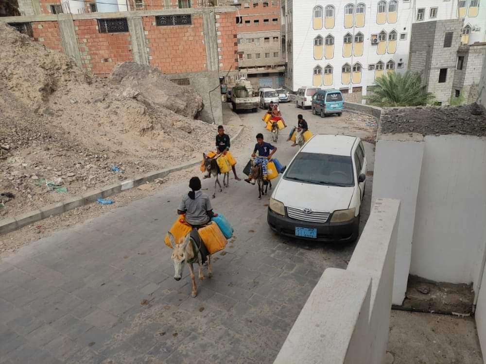 أهالي كريتر يجلبون المياه على ظهور الحمير(صورة)