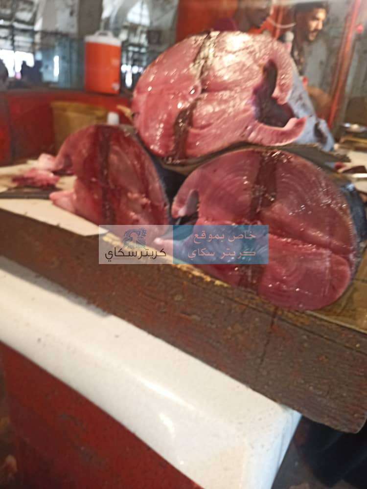 لأول مرة بعدن .. وصول سعر أسماك الثمد إلى رقم قياسي لأول مرة بعدن .. وصول سعر أسماك الثمد إلى رقم قياسي