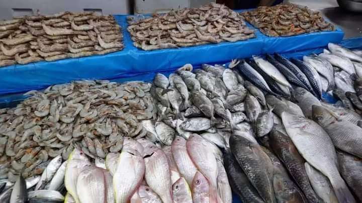 عقب احتجاجات واسعة .. إنخفاض أسعار أسماك الثمد في مودية بأبين عقب احتجاجات واسعة .. إنخفاض أسعار أسماك الثمد في مودية بأبين