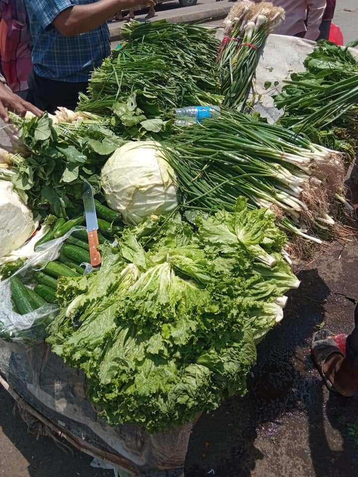 إرتفاع أسعار الجرجير في عدن