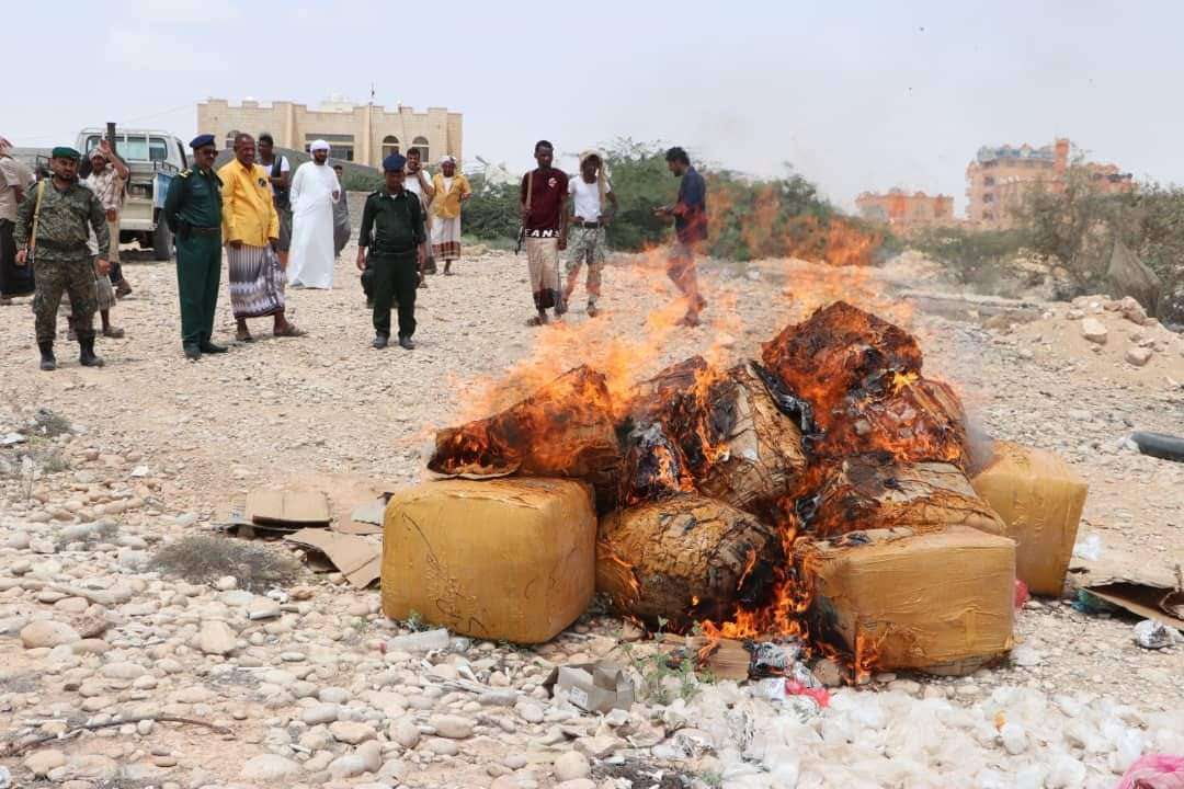 الاجهزة الامنية بالمهرة تتلف كميات من القات كانت في طريقها إلى سلطنة عمان