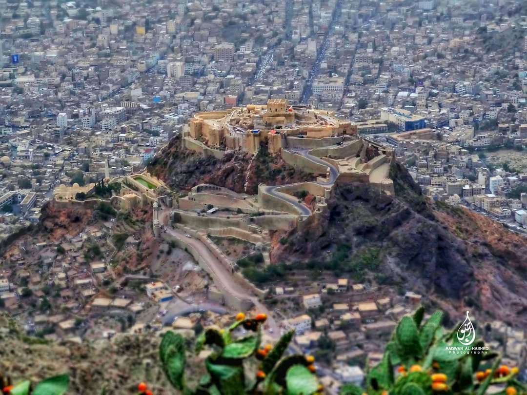 الرئيس العليمي يعتلي قلعة القاهرة بمحافظة تعز ويقوم بهذا الأمر (صورة)