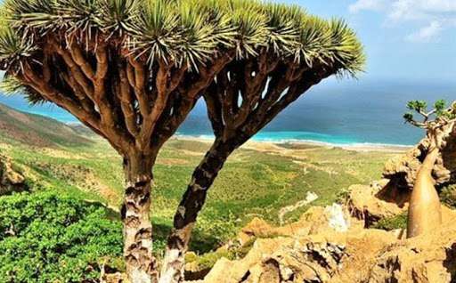 موقع إخباري إسرائيلي: تل أبيب بدأت مع الإمارات بإنشاء قاعدة تجسس في سقطرى