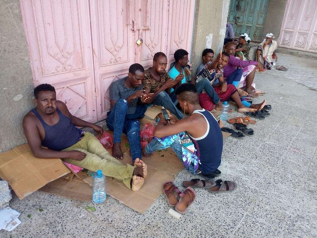 مواطنون لحج الحوطة يشكون من التزايد المفزع للمهاجرين الافراقة