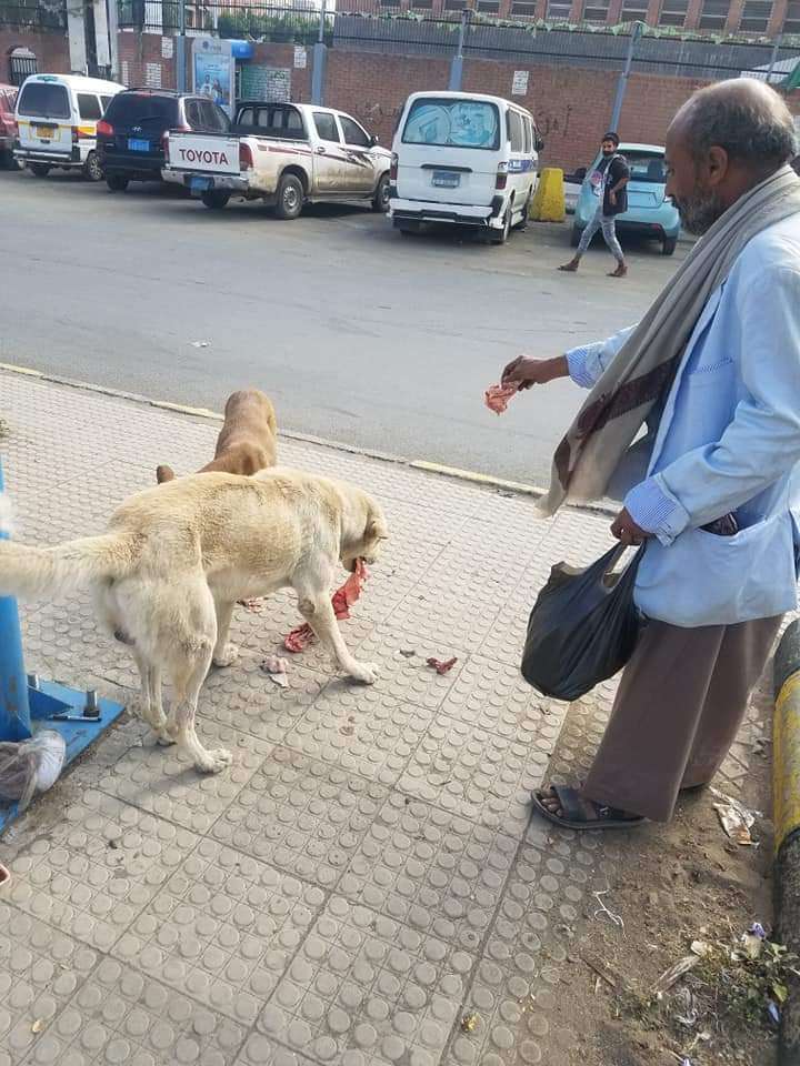 صور من تعز تثير مواقع التواصل الإجتماعي تعرف عليها صور من تعز تثير مواقع التواصل الإجتماعي تعرف عليها