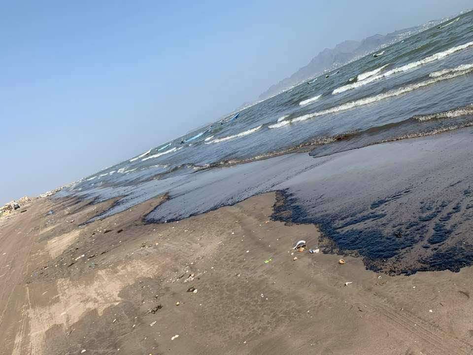 فرع هيئة حماية البيئة بعدن ينفي وجود تلوث بيئي على سواحل المدينة فرع هيئة حماية البيئة بعدن ينفي وجود تلوث بيئي على سواحل المدينة