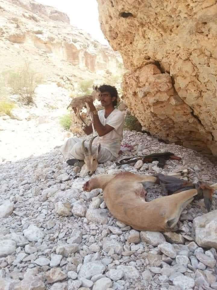 شاهد.. قتل حيوانات نادرة تثير مواقع التواصل الإجتماعي
