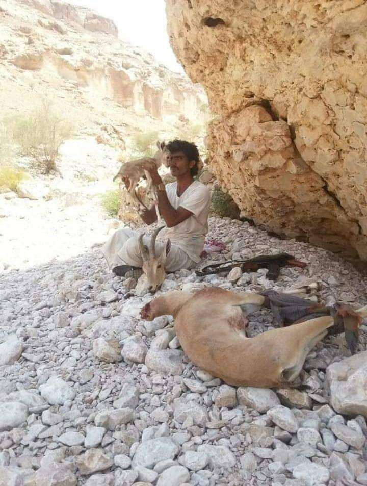 بعد جدل واسع.. أنباء عن وفاة قاتل الغزلان في شبوة
