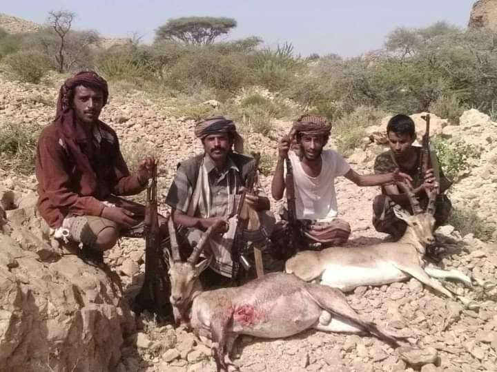 نشطاء وشخصيات اجتماعية يوجهون نداء للسلطات في شبوة إيقاف الصيد الجائر