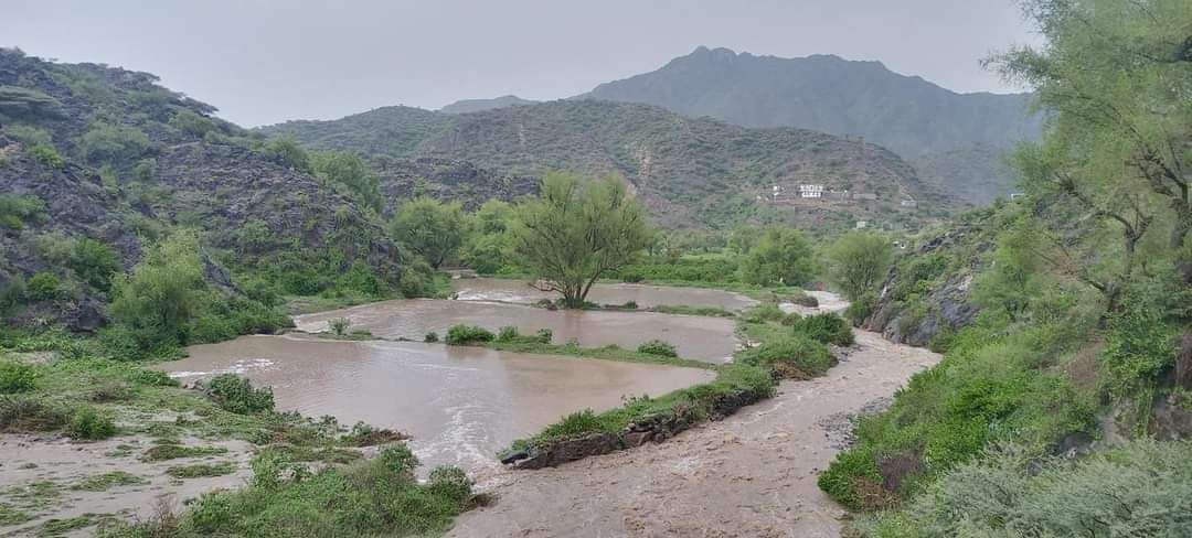 بالصور .. أمطار و سيول في يافع