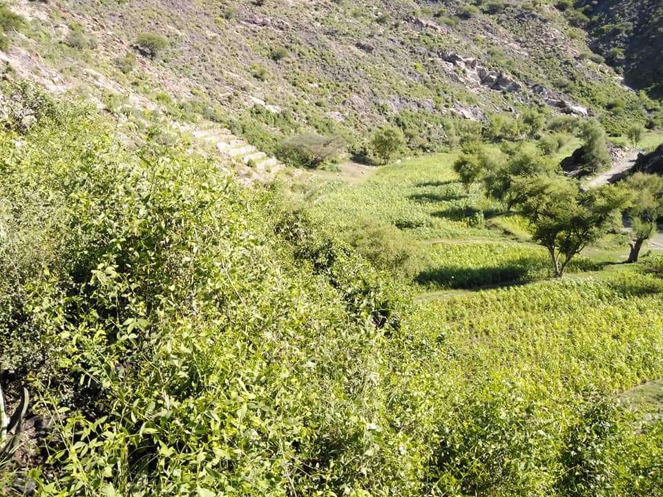يافع سياحية وبامتياز