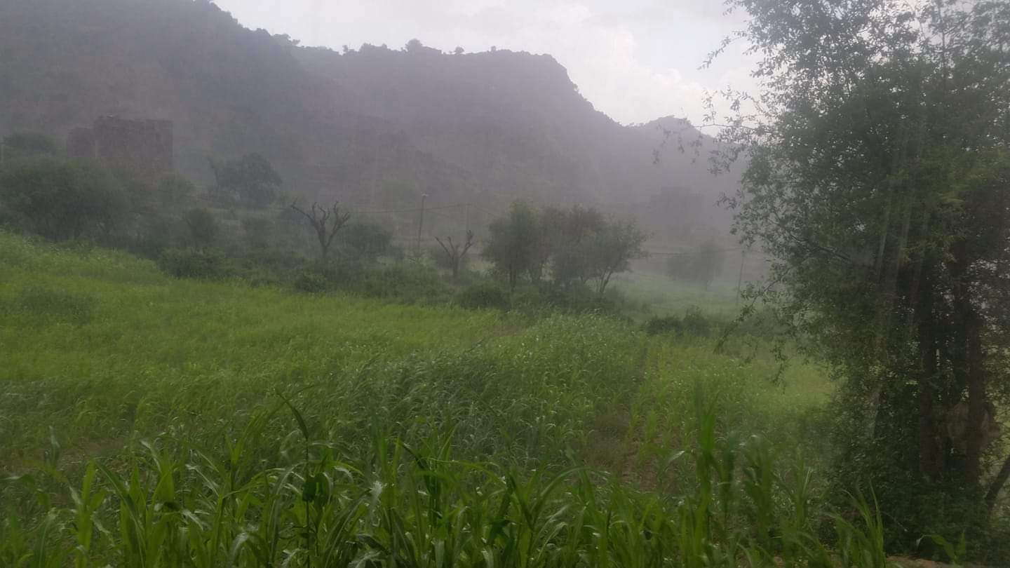 يحدث الان.. امطار غزيرة على القبيطة في لحج