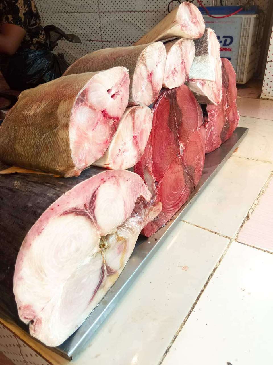 صحافية:لهذا السبب ترتفع اسعار الاسماك في عدن صحافية:لهذا السبب ترتفع اسعار الاسماك في عدن