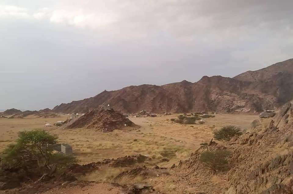 مسؤول بمكتب بن عديو يتحدث عن دحر الحوثيين من شبوة الى البيضاء