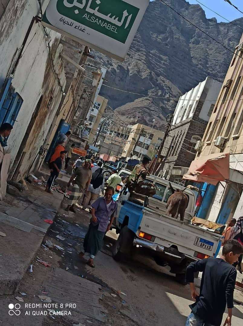 تنفيذ حملة أمنية بعدن لاعتقال الحمير تنفيذ حملة أمنية بعدن لاعتقال الحمير