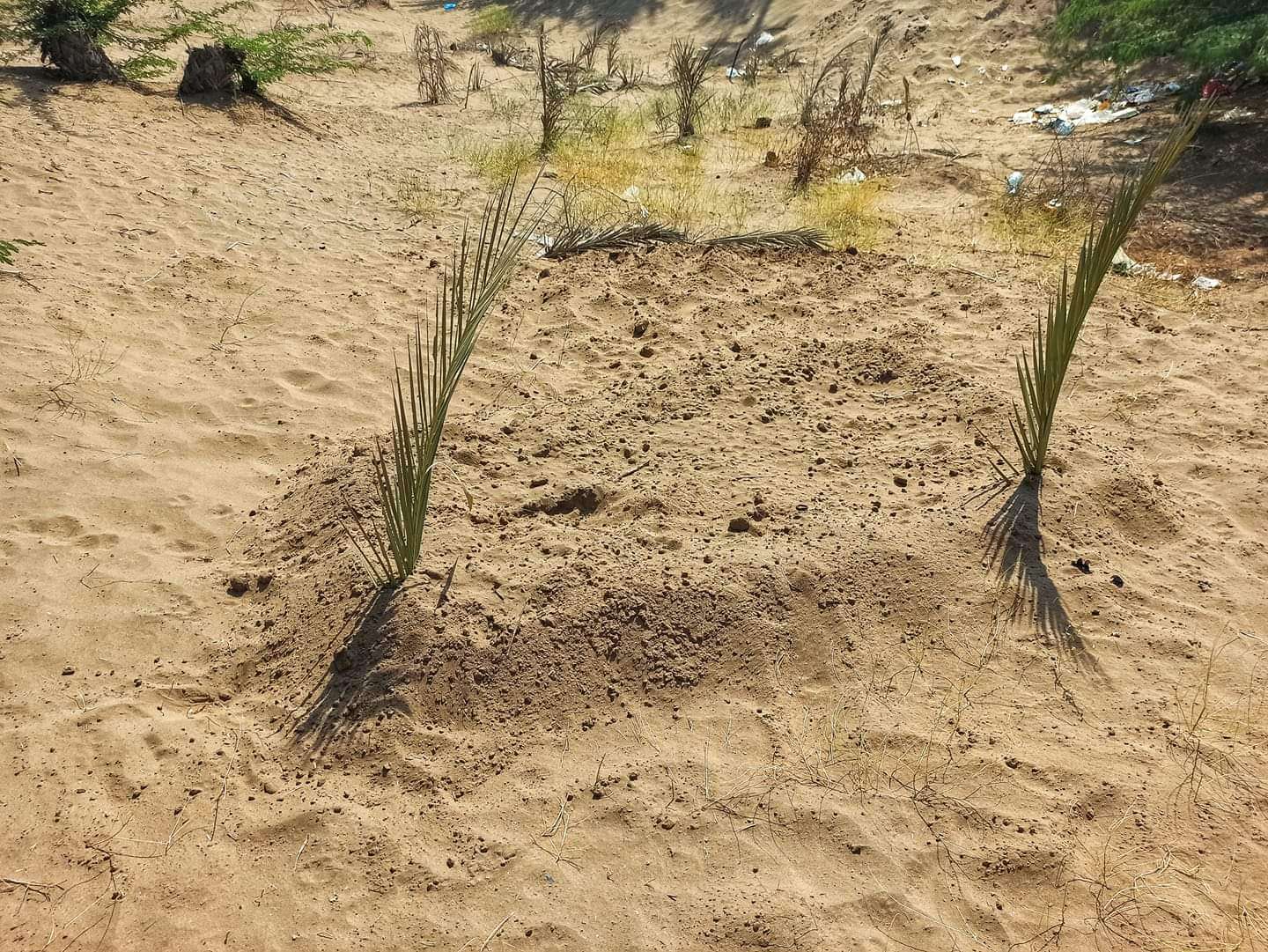 صورة وحدث.. تعرف على قصة مقتل مواطن هارب من مدينة الدريهمي صورة وحدث.. تعرف على قصة مقتل مواطن هارب من مدينة الدريهمي