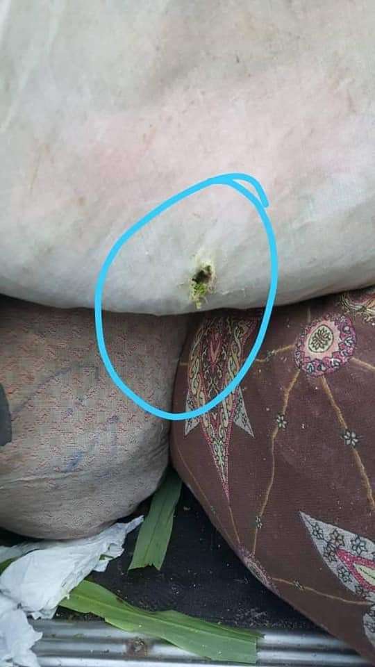 بسبب القات .. مسلح يطلق النار على إحدى السيارات في إب(صور)