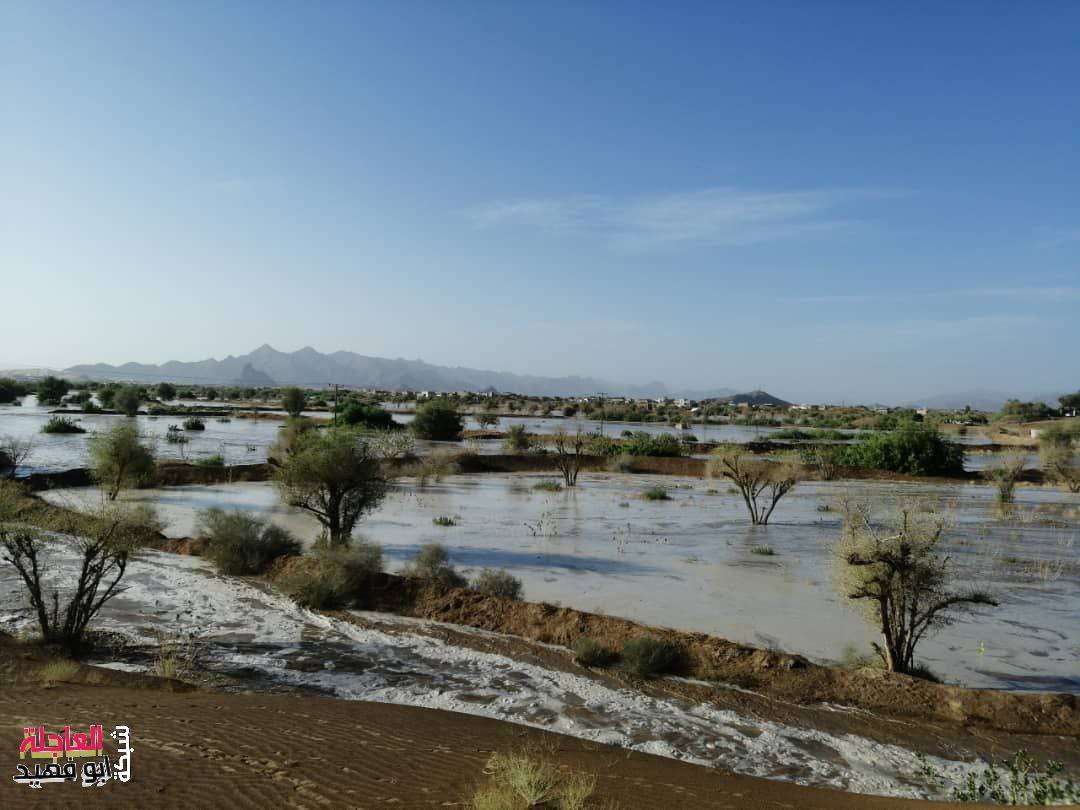 يحدث الآن .. تواصل تدفق السيول في وادي بيحان بشبوة (صور) يحدث الآن .. تواصل تدفق السيول في وادي بيحان بشبوة (صور)