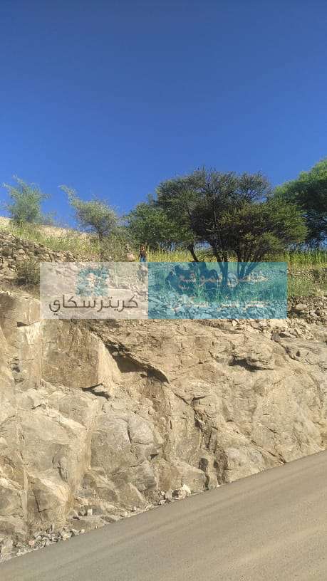 عاجل:ارتفاع حصيلة ضحايا حادث مروري مروع في تعز(صور)