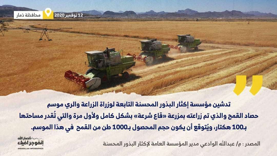 لأول مرة في تاريخ اليمن الزراعي..حصاد 100 هكتار في هذه المحافظة