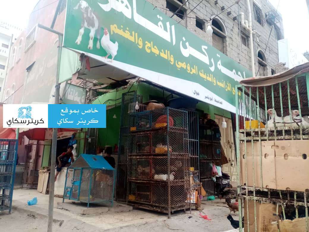 حصري .. تعرف على تفاصيل الإجتماع الذي تسبب بإرتفاع أسعار الدواجن في عدن