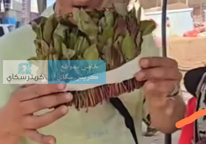 وصل اسعار القات الى رقم تاريخي في عدن