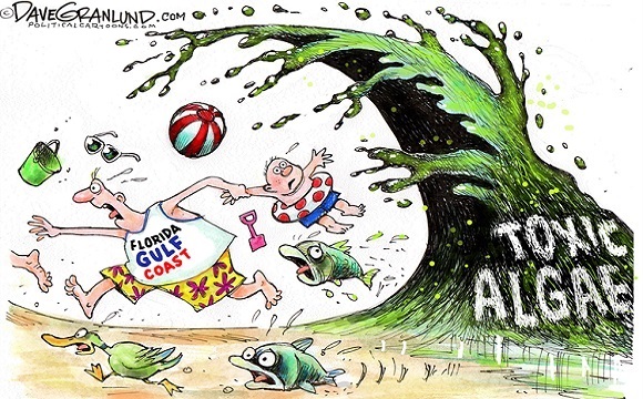 Whole foods grand opening in fort myers, november 6, 2018. Dave Granlund's cartoon is gallows humor, but no laughing