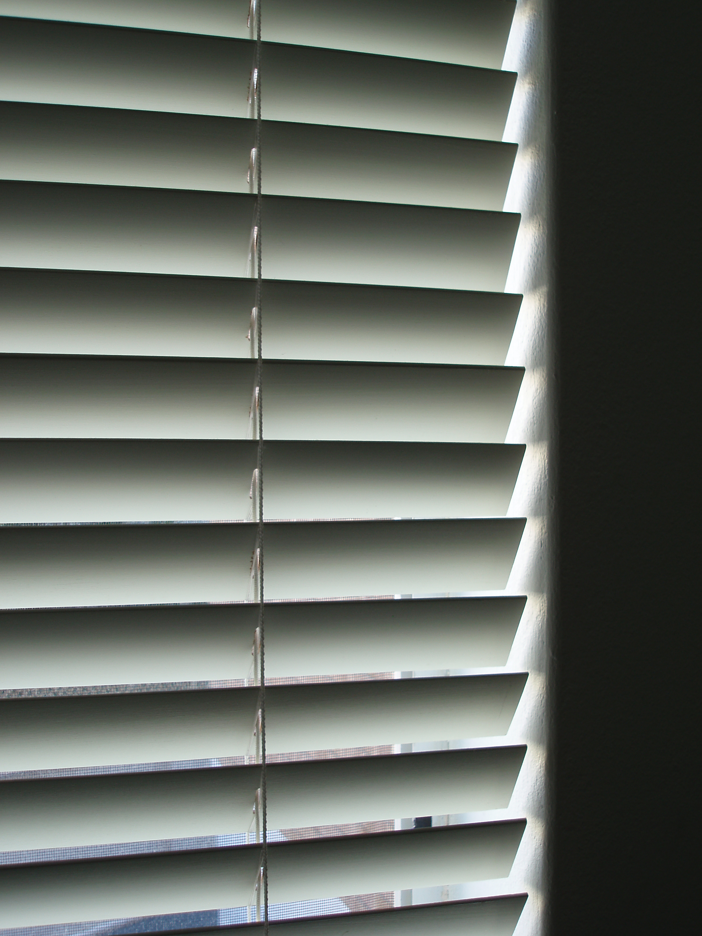 Deco window polyester & polyester blend solid roller blinds, 37 x 84 inch, silver beige 86. venetian blinds close up | Free backgrounds and textures