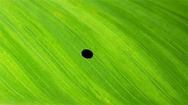 как рисовать брызги воды