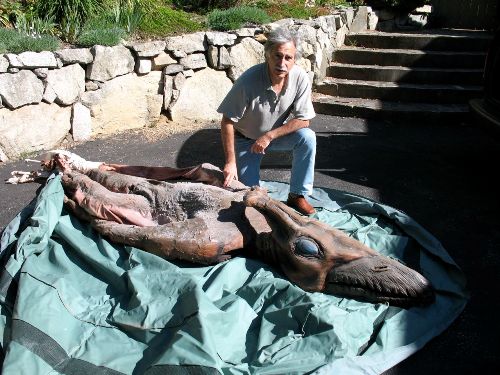 With sizes as miniscule as 80 square feet, a tiny home is any dwelling under 400 square feet._ take a peek into these tiny house designs. Cryptomundo Â» A Pterodactyl in the Pool Cabana