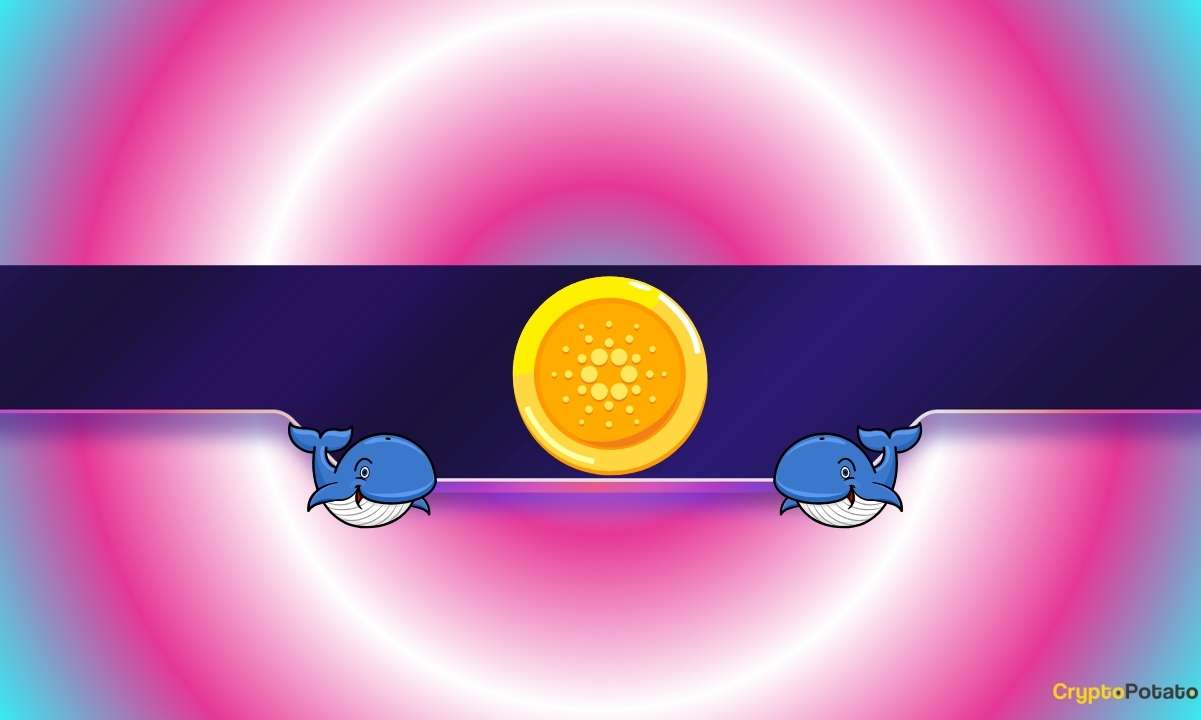 Is Cardano Facing a Renewed Drop?