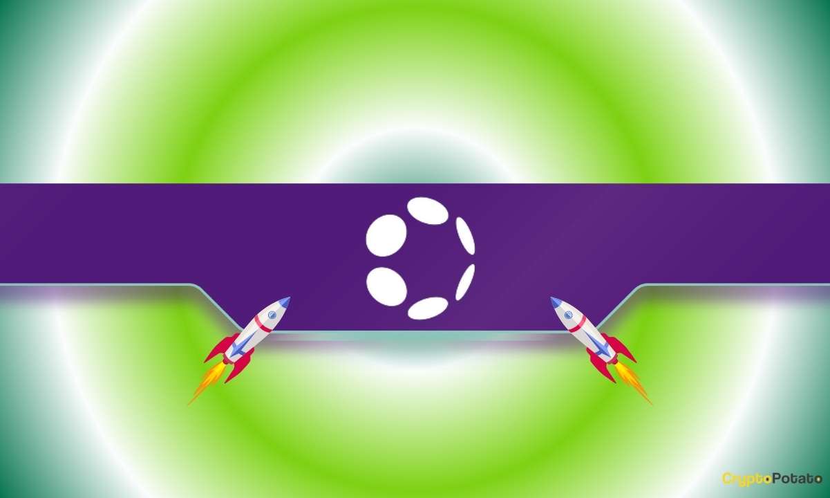 What Drives the Rally and What’s Next?