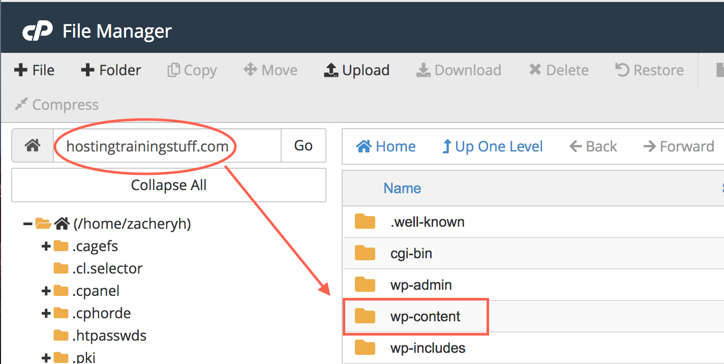 Hackers will often use file upload . Uploading Wordpress Theme Through File Manager | Name.com