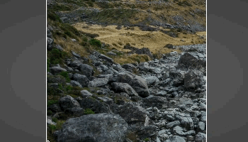 moving-background.gif?fit=800%2C400&ssl=1&resize=350%2C200