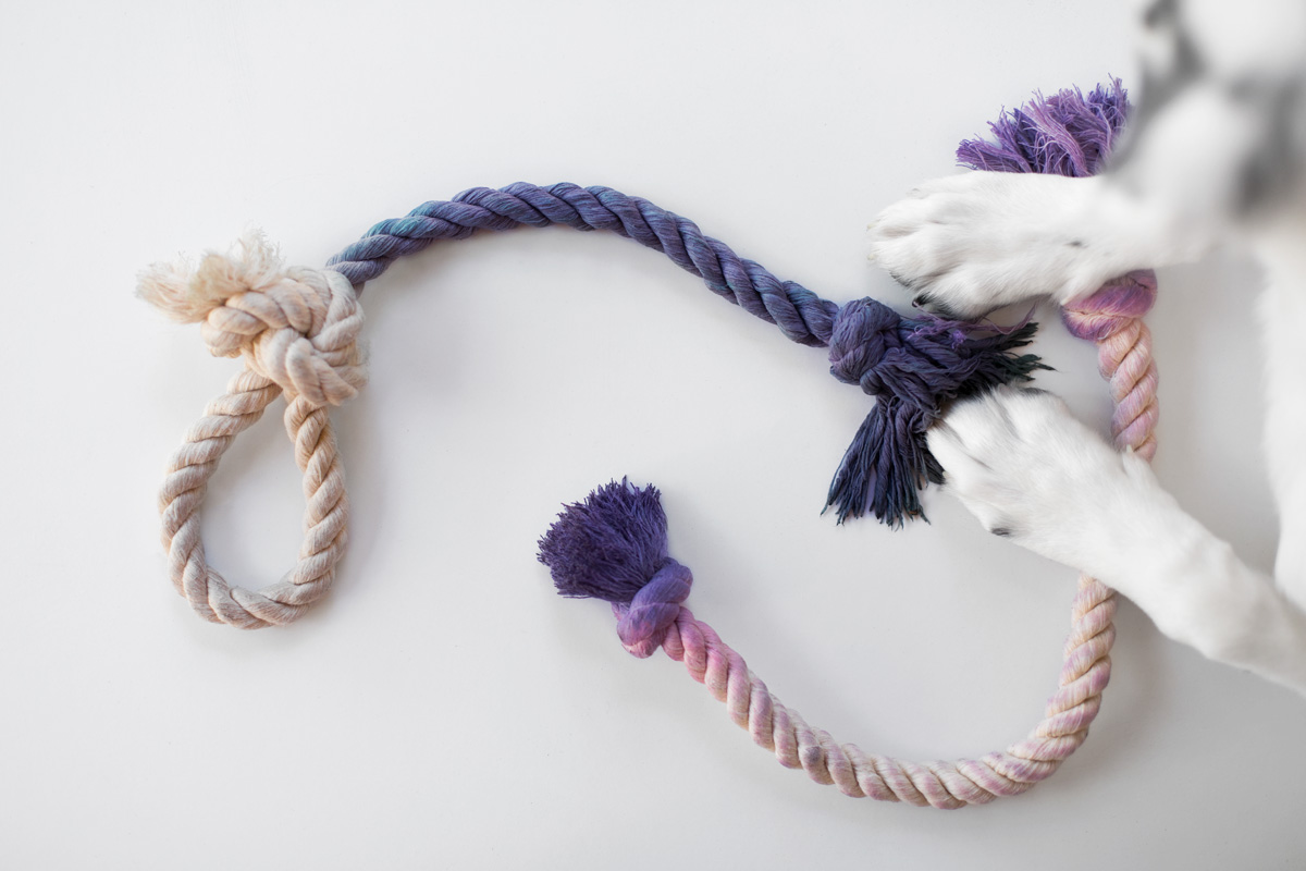 diy rope toy