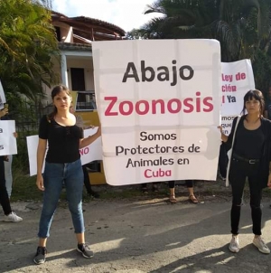 Protectores independientes protestan contra el maltrato animal en Cuba