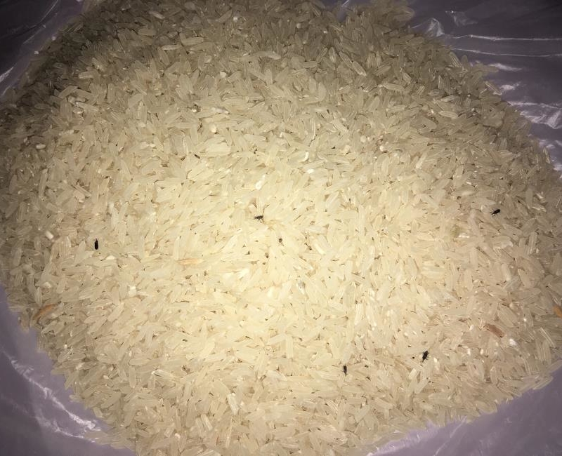 Arroz