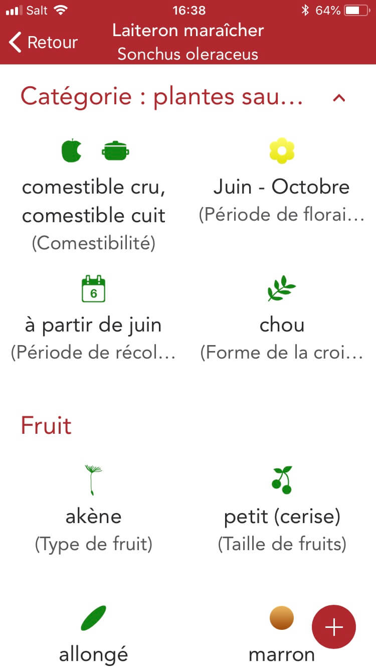 Les meilleures applications pour apprendre les plantes sauvages en 2020