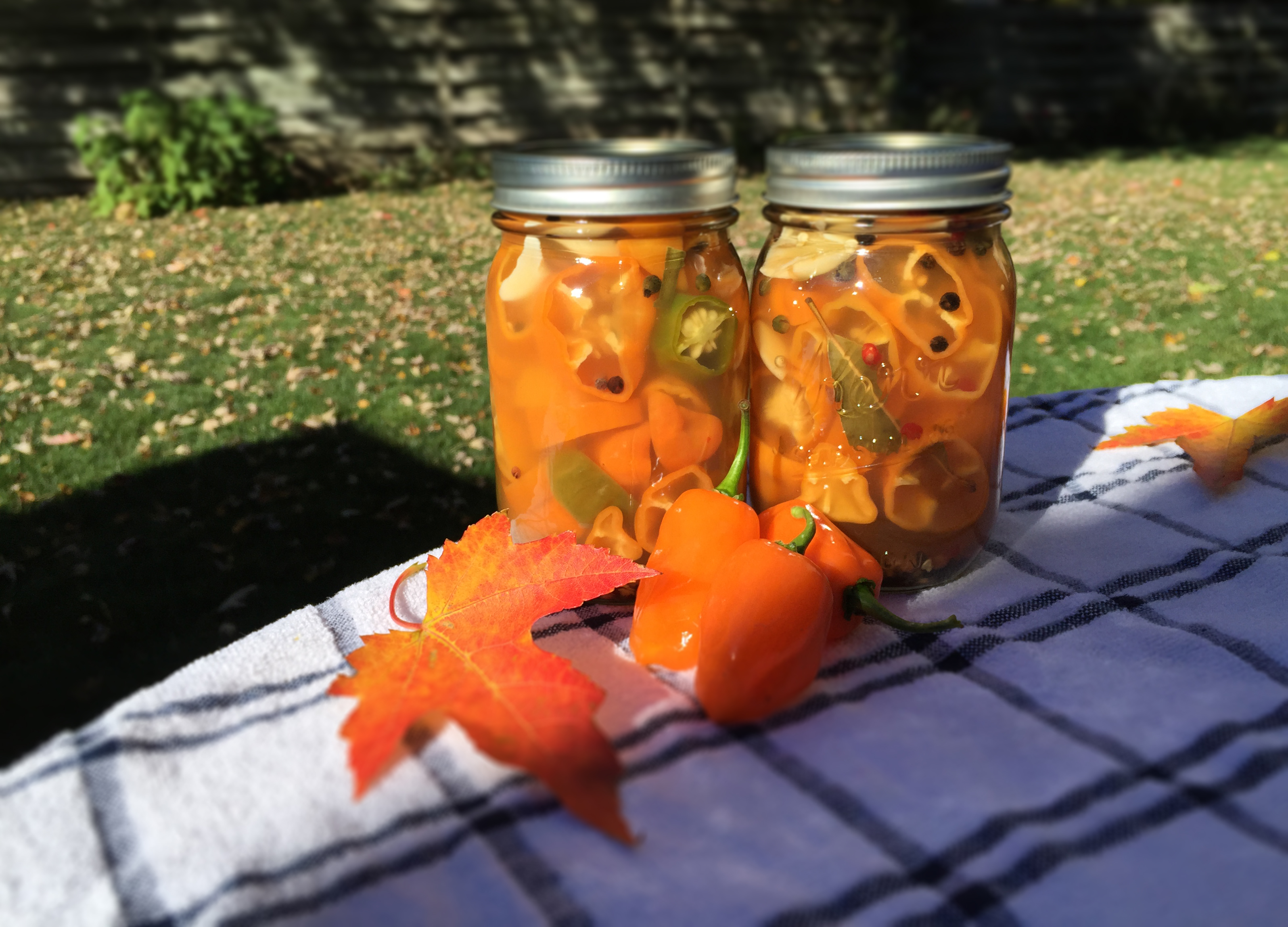 Pickled Habañero Peppers, Escabeche