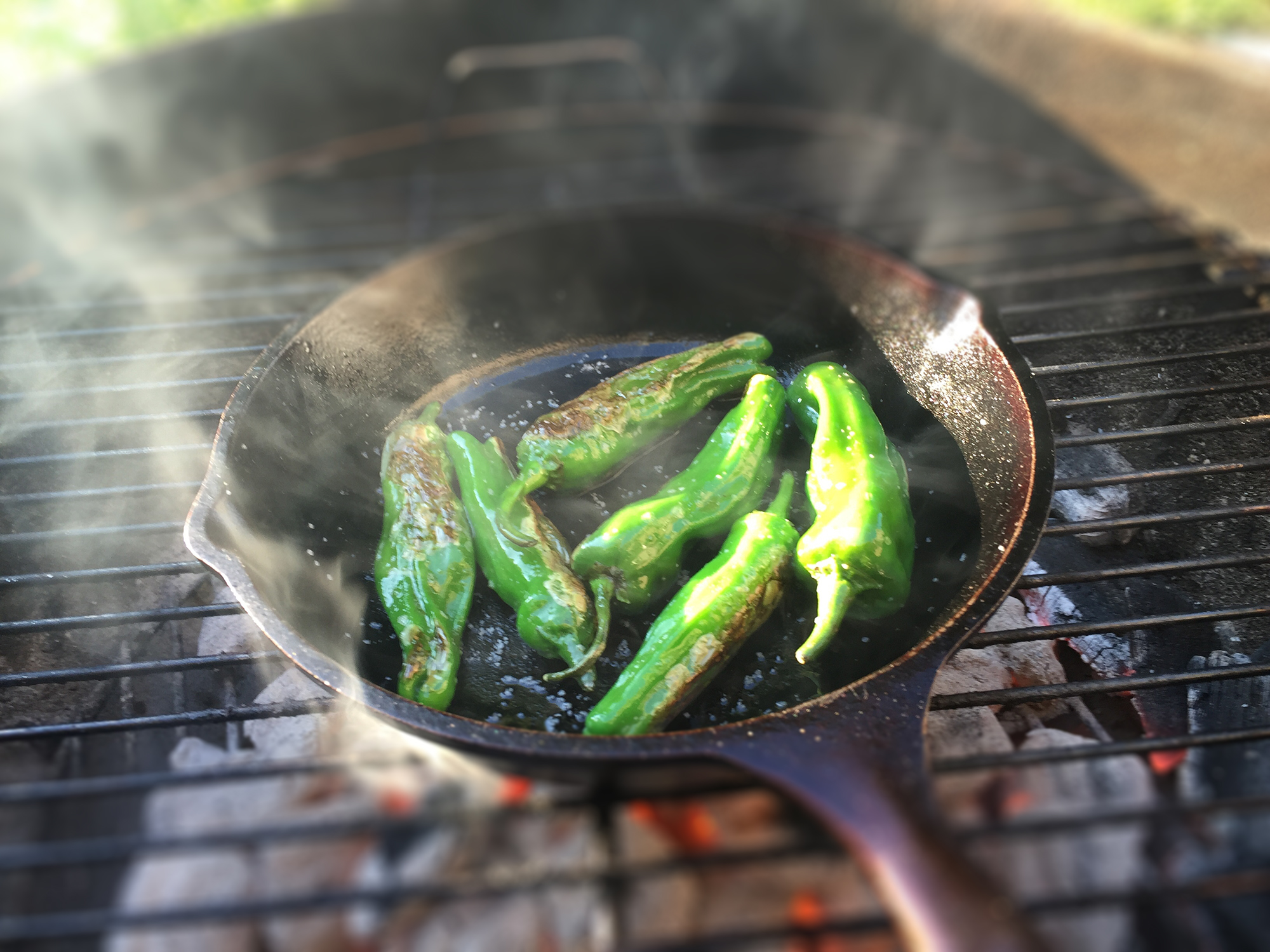 Pan-Seared Japanese Shishito Peppers | Culinary Compost Recipes
