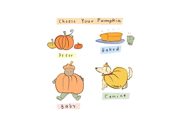 Scegli la tua zucca Scegli la tua zucca