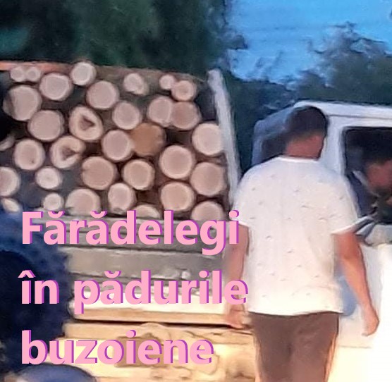 Https Curaj Tv 2021 10 30 Ardea Materiale Periculoase Si Inhala Cu Familia Fumul Toxic 2021 10 30t19 43 09 00 00 Monthly Https Curaj Tv 2021 10 30 Au Pomenit Victimele Colectiv Cu Un Flashmob La Palatul De Justitie 2021 10 30t19 34 15 00 00