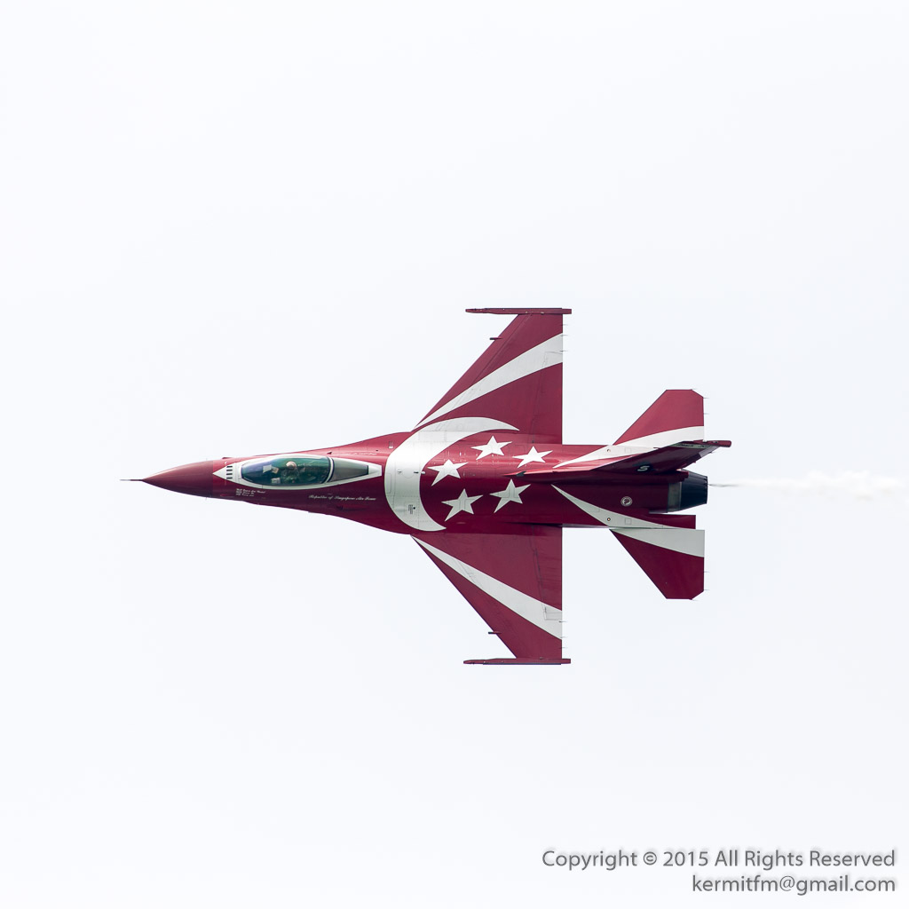 The national emblem of the crescent moon and five stars