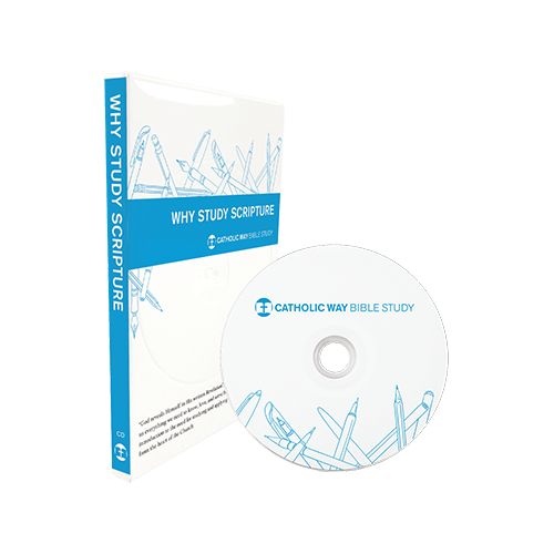 You can also read the douay rheims online for free using our my bible page. Catholic Way Bible Studies In Depth Spirit Led Bible Study