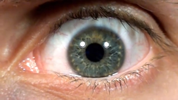 Allows simple experiments on eye movements during a classic change blindness task. Image Carousels and Sliders? Don't Use Them. (Here's why